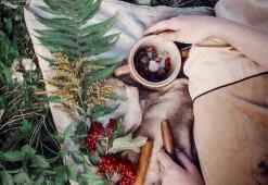 Μαλλιά ανά τον κόσμο. Μέρος 5: Βορειοαμερικανική περιποίηση μαλλιών