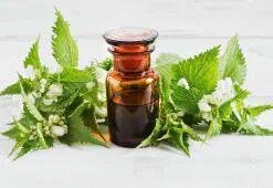 Θεραπείες για το Τριχωτό της Κεφαλής για Μακριά & Υγιή Μαλλιά - τα Καλύτερα Σπιτικά Παρασκευάσματα