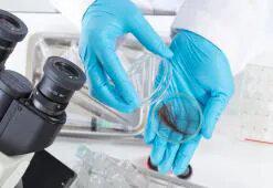 Ανατομία μαλλιών. 2ο μέρος: Δομή του Άξονα της Τρίχας